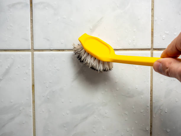 Best Attic Mold Removal  in Channel Lake, IL