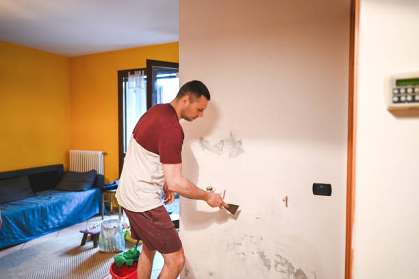 Best Mold Testing and Removal  in Channel Lake, IL